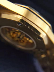 AP Mechanical Watch-030