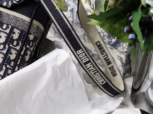 Dior Handbags AAAA(Men)-002