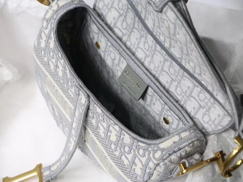 Dior Handbags AAAA(Women)-091