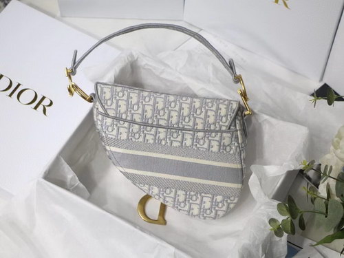 Dior Handbags AAAA(Women)-091