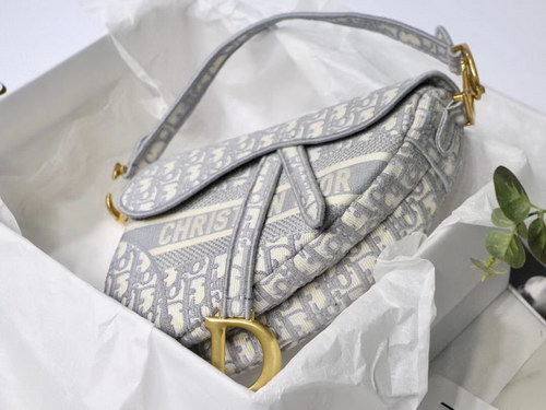 Dior Handbags AAAA(Women)-091