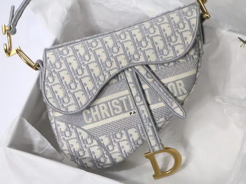 Dior Handbags AAAA(Women)-091