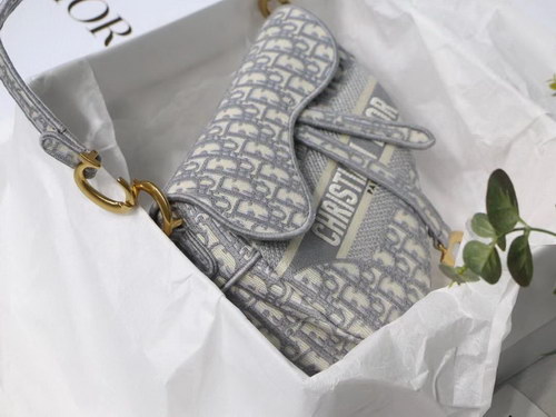 Dior Handbags AAAA(Women)-091