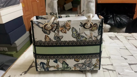 Dior Handbags AAA(Women)-153