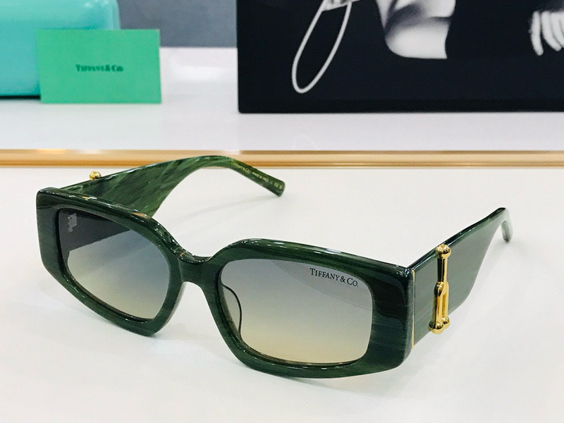 Jimmy Choo Sunglasses(AAAA)-101