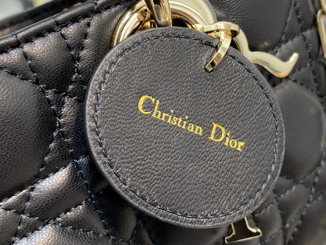 Dior Handbags AAA(Women)-149