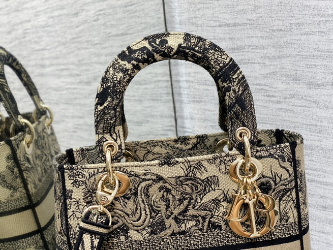 Dior Handbags AAA(Women)-498