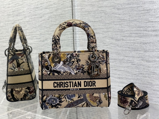 Dior Handbags AAA(Women)-665