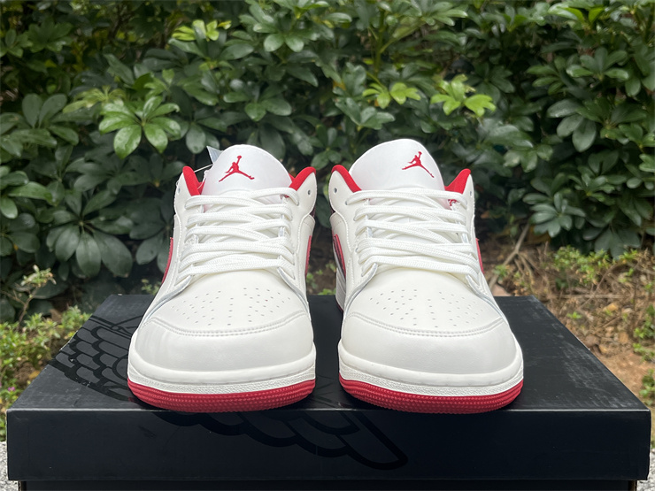Air Jordan 1 Low-307