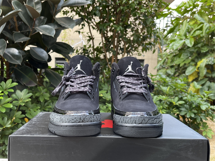 Air Jordan 3 Black Cat