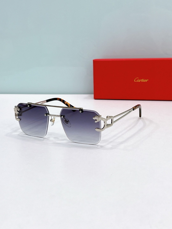Cartier Sunglasses(AAAA)-1670