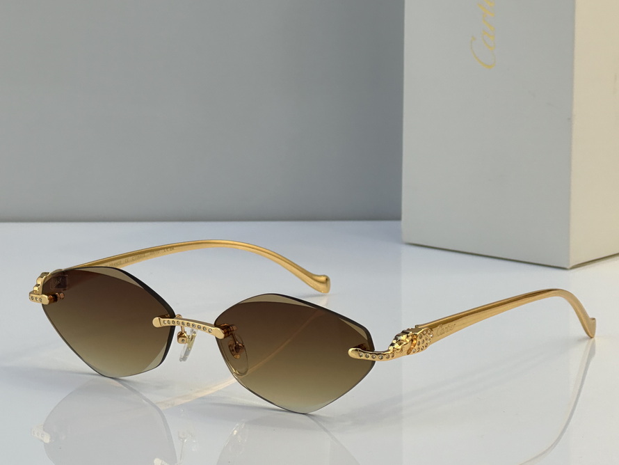 Cartier Sunglasses(AAAA)-1668