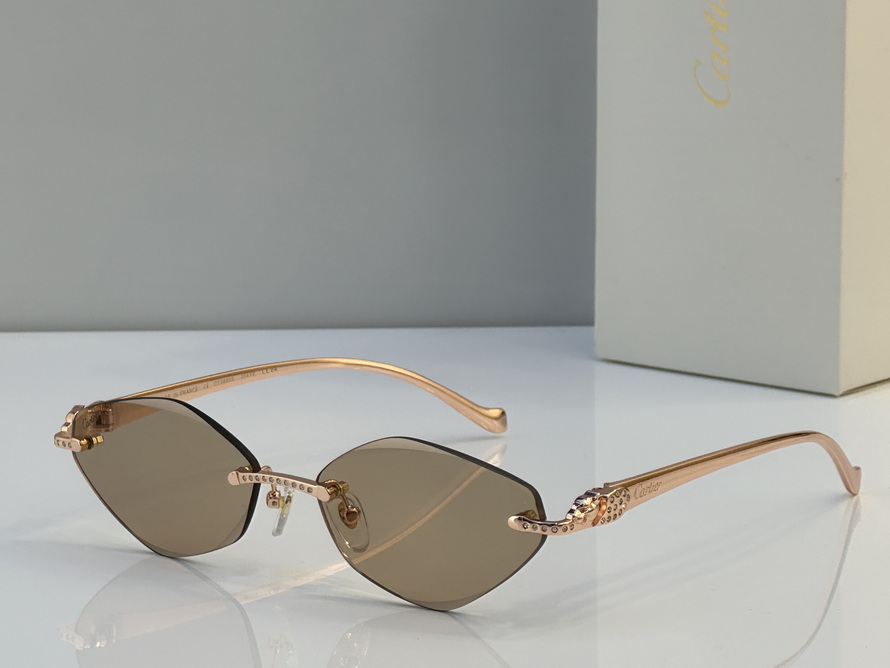 Cartier Sunglasses(AAAA)-1666