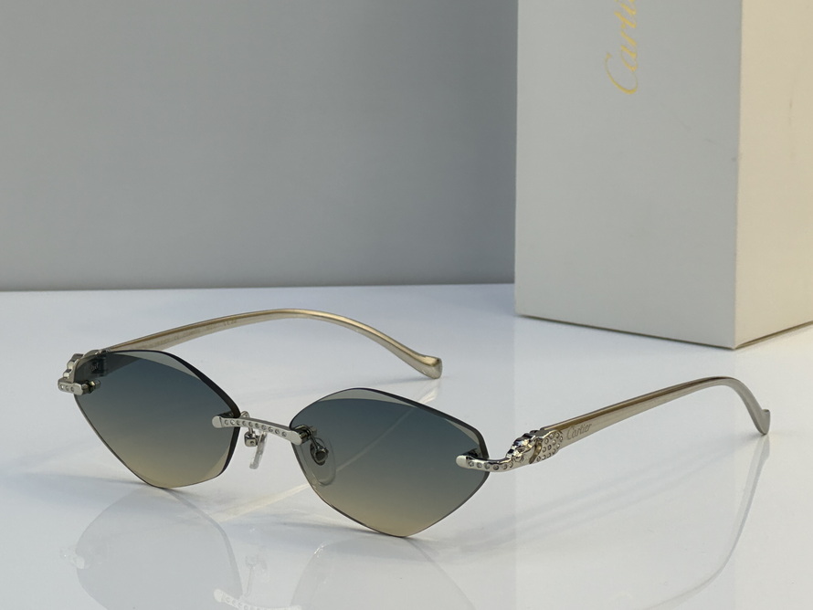 Cartier Sunglasses(AAAA)-1663