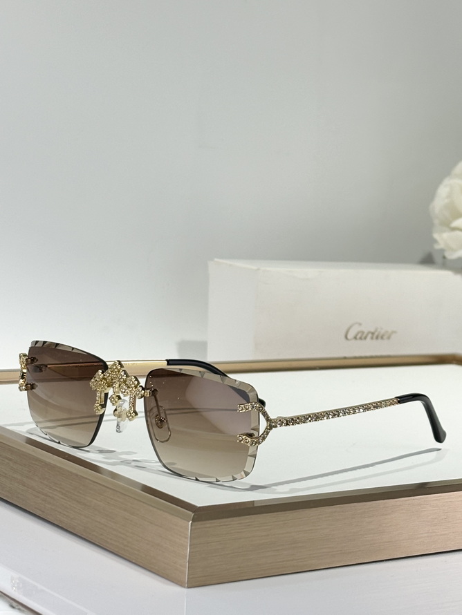 Cartier Sunglasses(AAAA)-1571