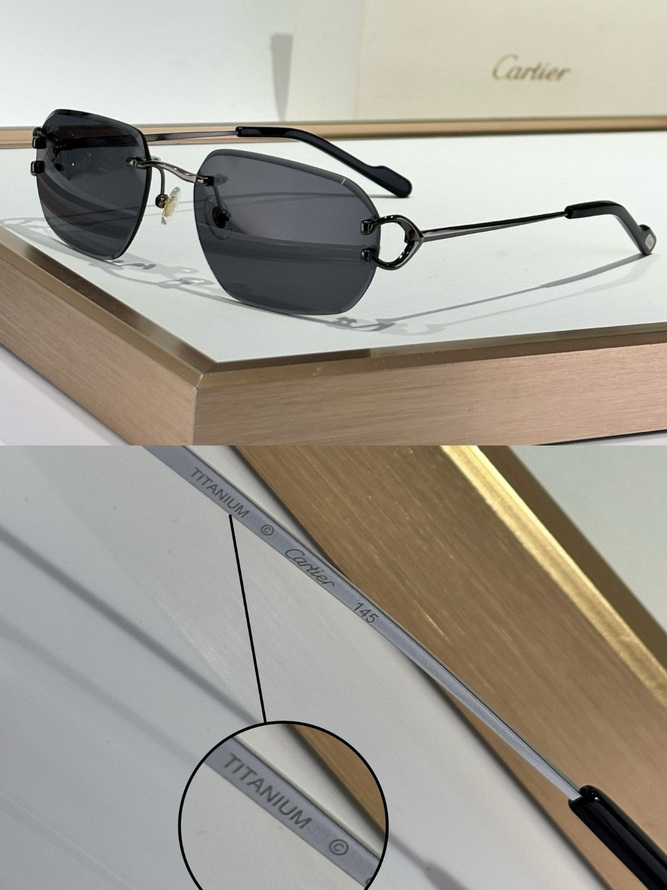 Cartier Sunglasses(AAAA)-1563