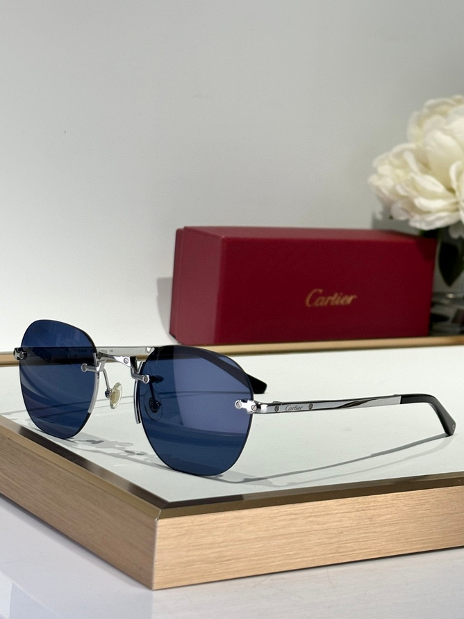 Cartier Sunglasses(AAAA)-1557