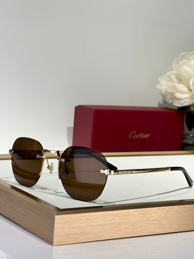 Cartier Sunglasses(AAAA)-1555