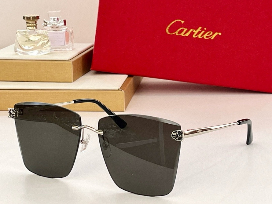 Cartier Sunglasses(AAAA)-1544