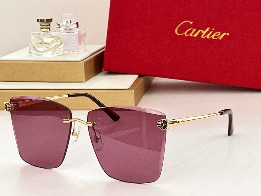 Cartier Sunglasses(AAAA)-1543