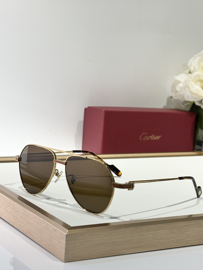 Cartier Sunglasses(AAAA)-1523