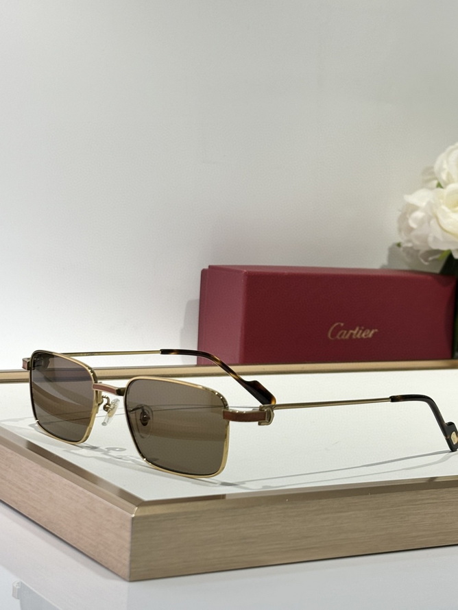 Cartier Sunglasses(AAAA)-1489