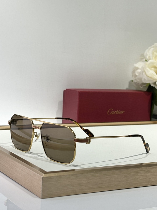 Cartier Sunglasses(AAAA)-1481