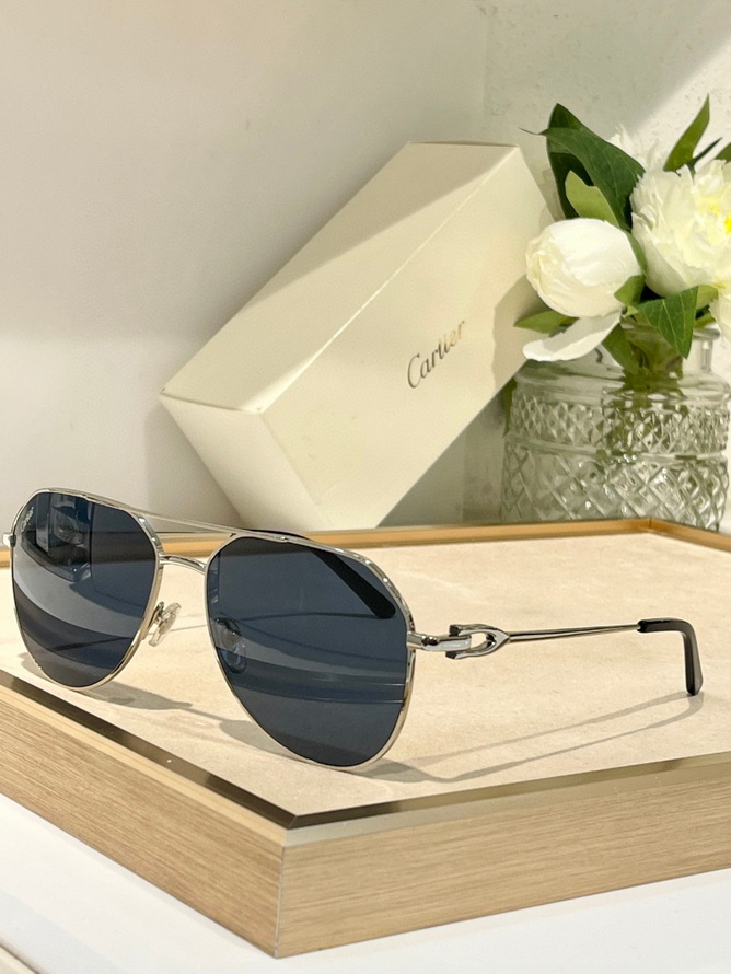 Cartier Sunglasses(AAAA)-1473