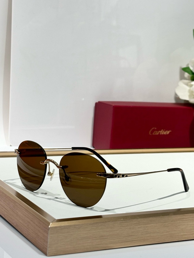 Cartier Sunglasses(AAAA)-1390