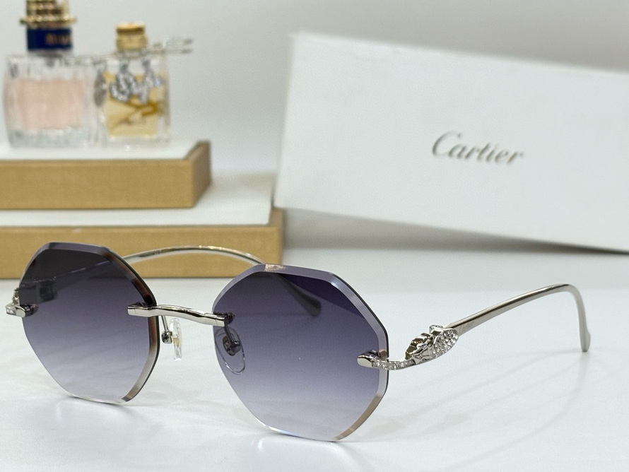 Cartier Sunglasses(AAAA)-1373