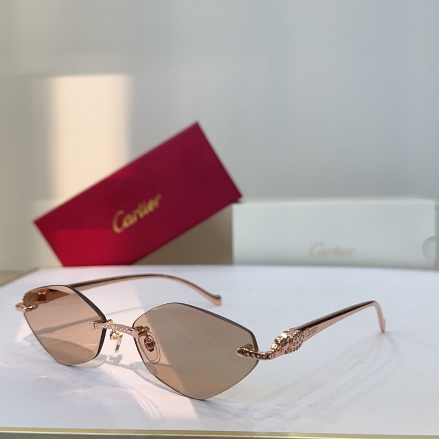 Cartier Sunglasses(AAAA)-1317