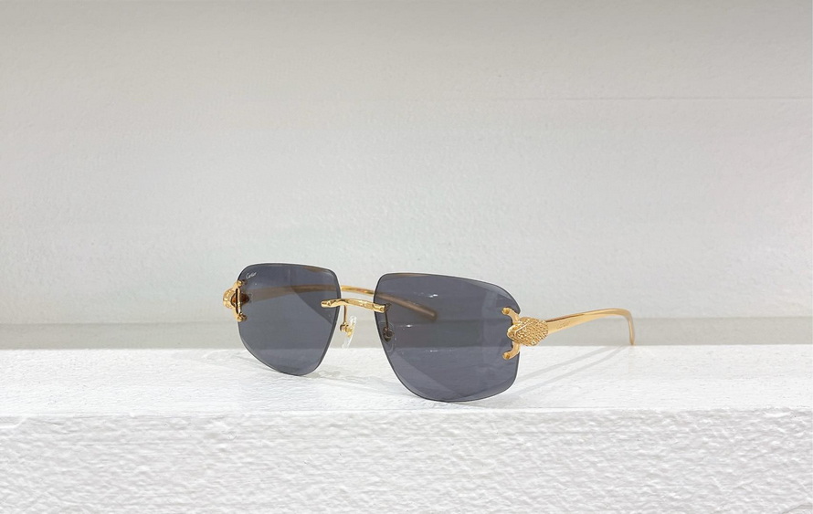 Cartier Sunglasses(AAAA)-1191
