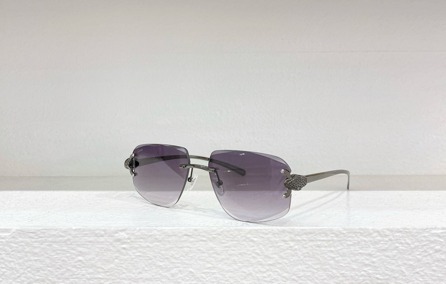 Cartier Sunglasses(AAAA)-1188