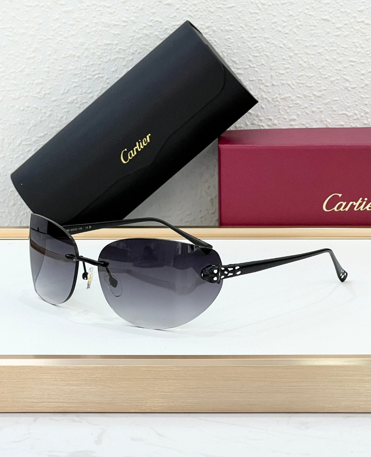 Cartier Sunglasses(AAAA)-1093