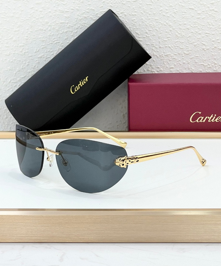 Cartier Sunglasses(AAAA)-1092