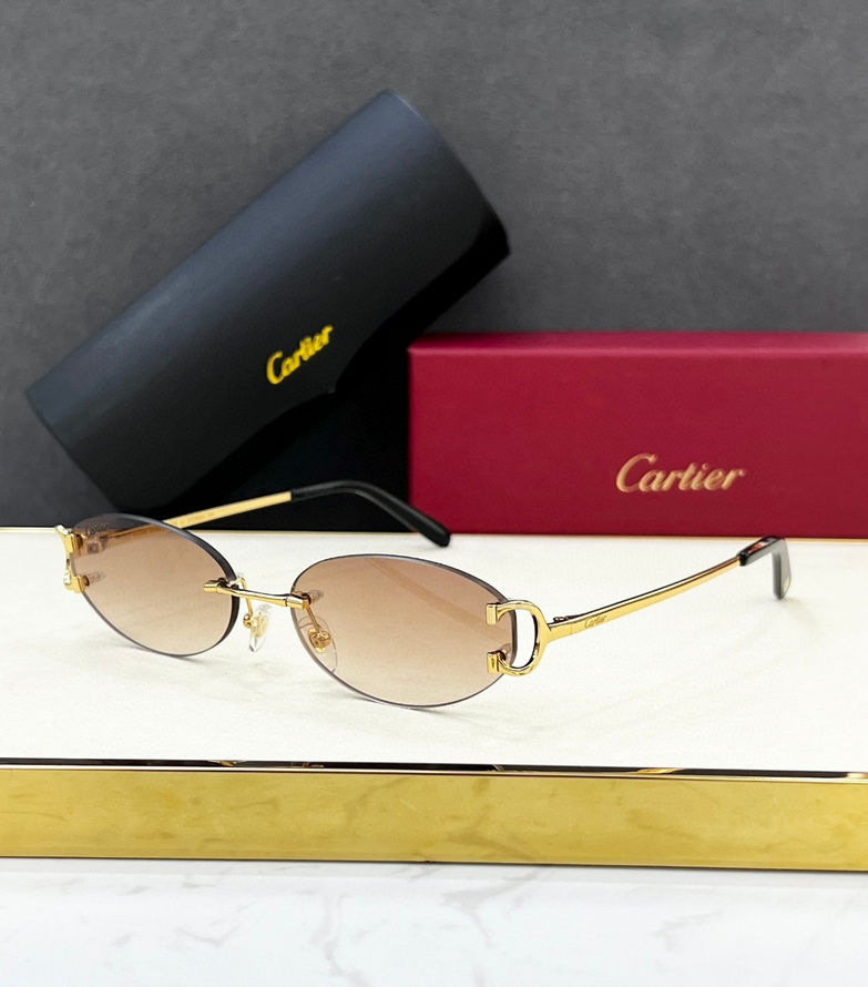 Cartier Sunglasses(AAAA)-1011