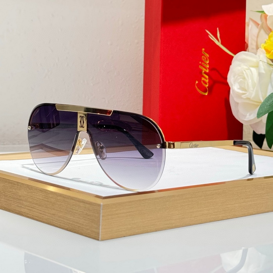 Cartier Sunglasses(AAAA)-872