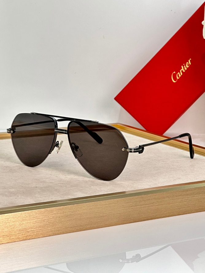 Cartier Sunglasses(AAAA)-739