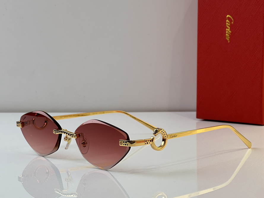 Cartier Sunglasses(AAAA)-723