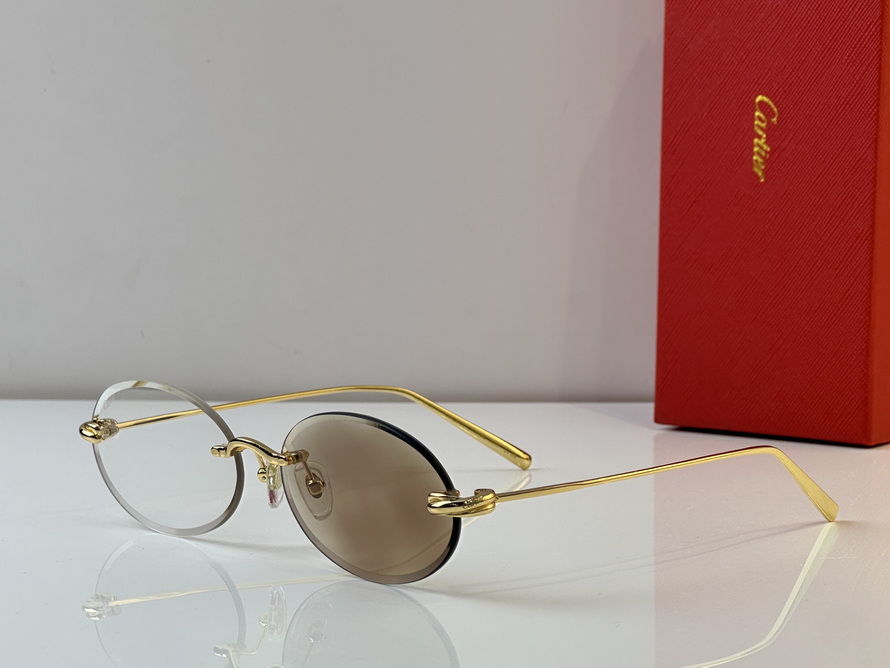 Cartier Sunglasses(AAAA)-704