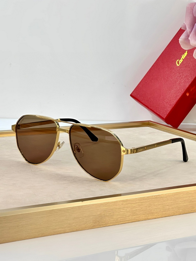 Cartier Sunglasses(AAAA)-670