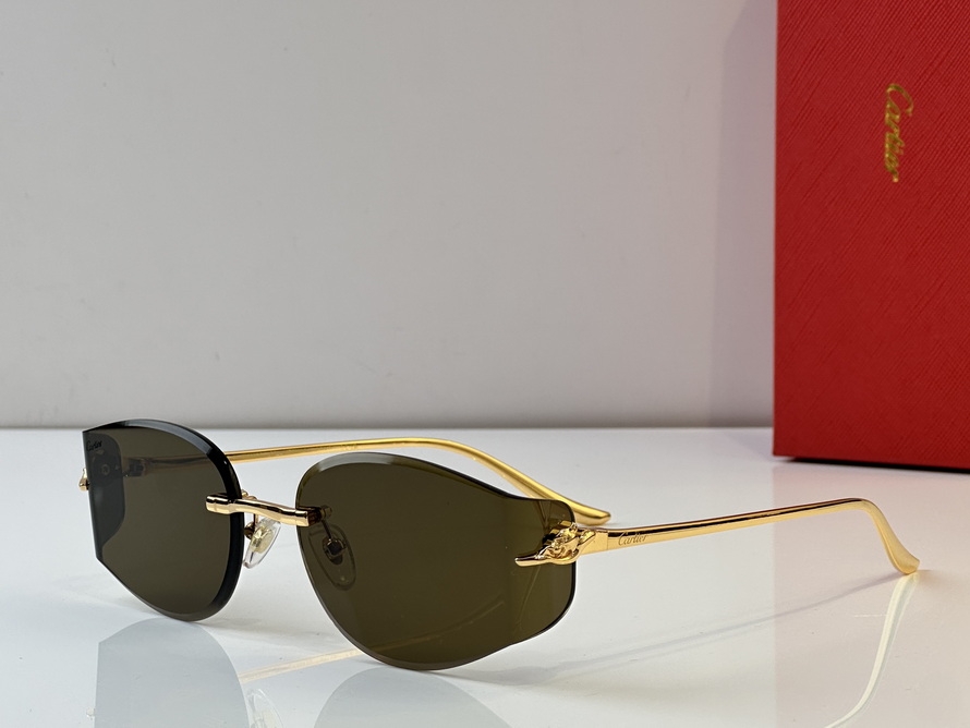 Cartier Sunglasses(AAAA)-621
