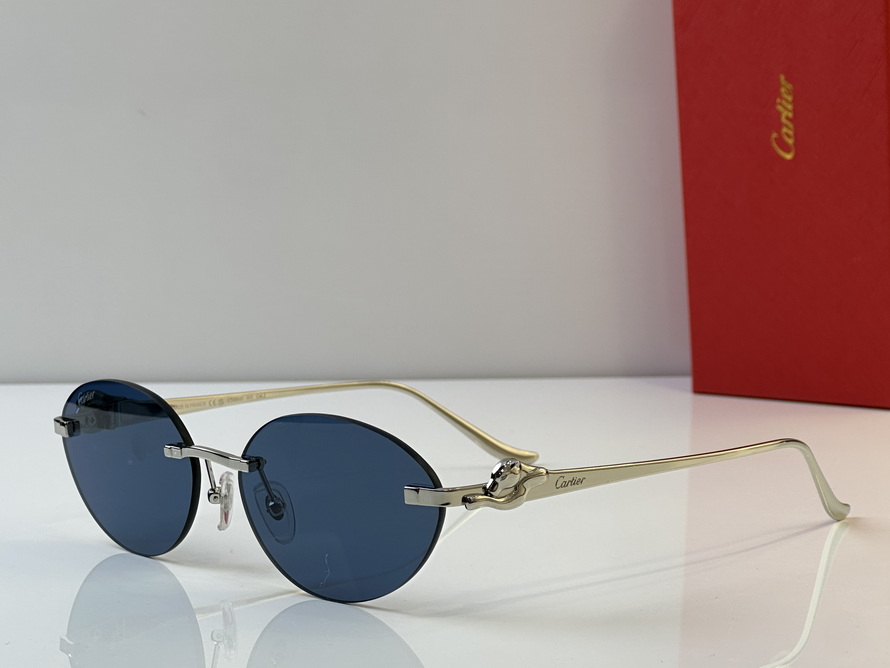 Cartier Sunglasses(AAAA)-589