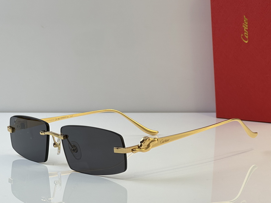 Cartier Sunglasses(AAAA)-586