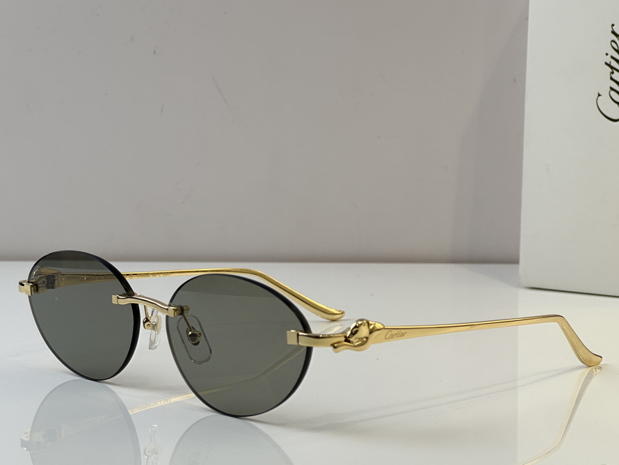 Cartier Sunglasses(AAAA)-576