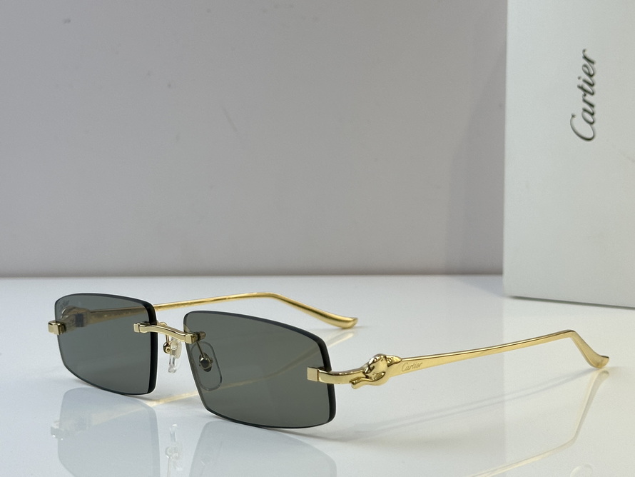 Cartier Sunglasses(AAAA)-569