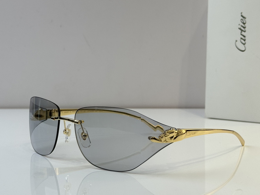 Cartier Sunglasses(AAAA)-543