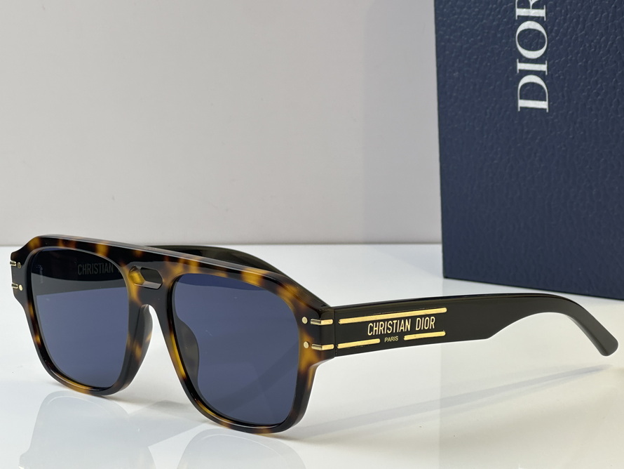  Dior Sunglasses(AAAA)-969