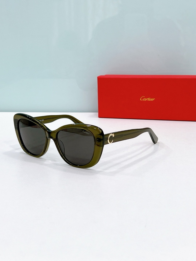Cartier Sunglasses(AAAA)-307