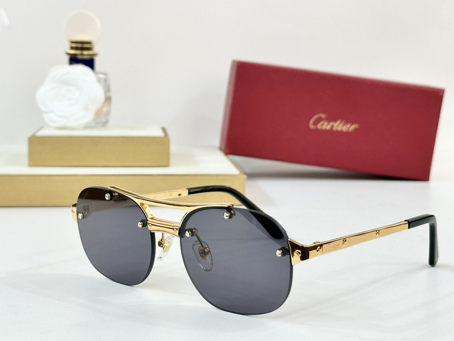 Cartier Sunglasses(AAAA)-242